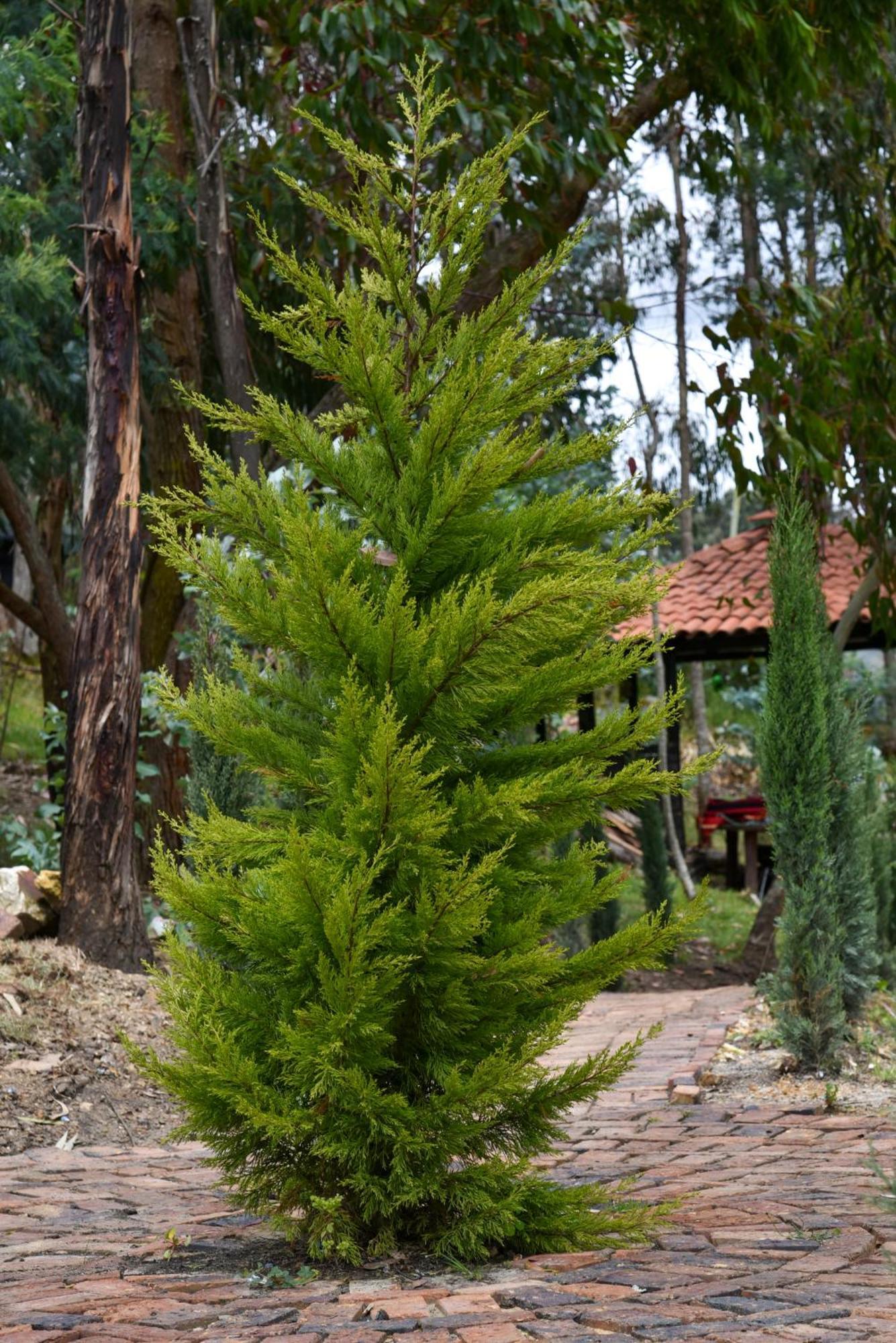 Hotel Golden Glamping Guatavita Exterior foto